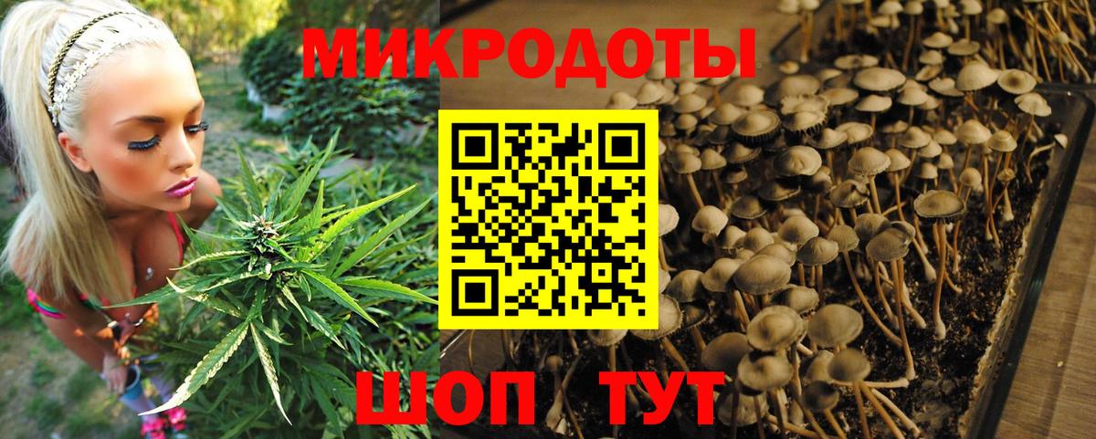 Галлюциногенные грибы прущие грибы Янаул