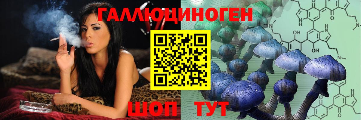 Янаул  Галлюциногенные грибы Psilocybine cubensis  Галлюциногенные грибы Cubensis  Вход с VPN 